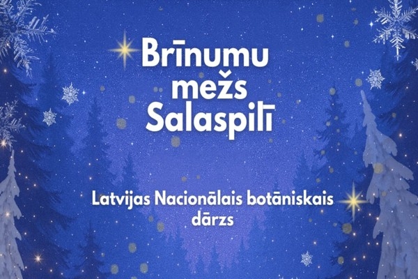 Salaspilī pirmo reizi atklās labdarībai veltītu Ziemassvētku sajūtu dārzu “Brīnumu mežs”