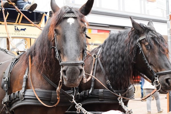 7. marts vēsturē: Rīgā sāk kursēt sabiedriskais transports