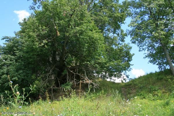 Jersikas-pilskalns Jersikas pilskalns