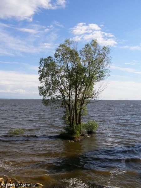 Lubana-ezers Lubānas ezers