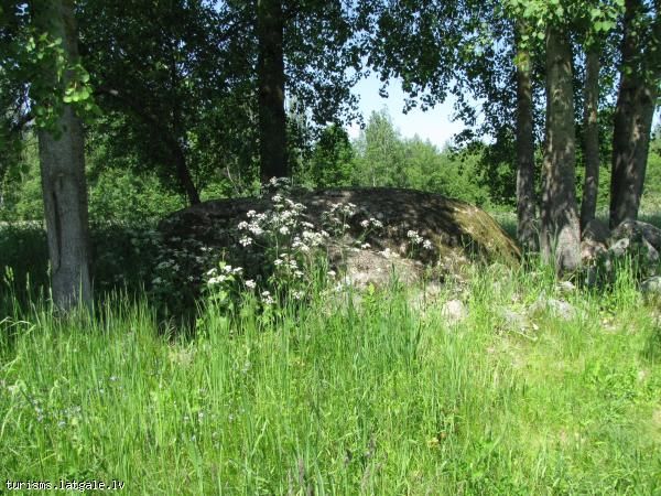 Medņu laukakmens Mednu-laukakmens Medņu laukakmens