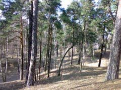 Skolas-parks Skolas parks