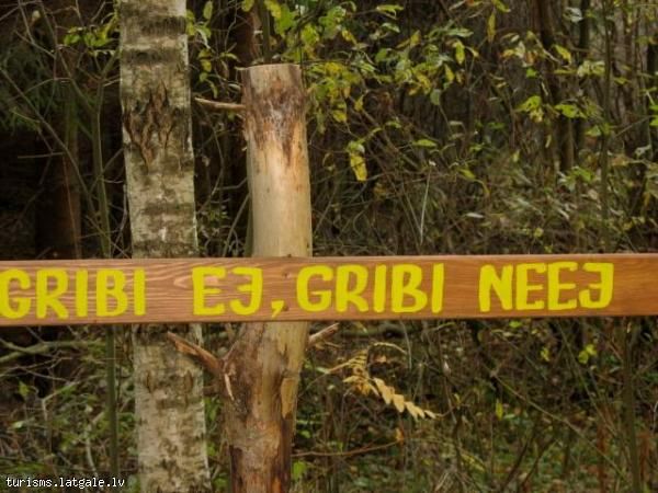 Spridisa-meza-taka Sprīdīša meža taka