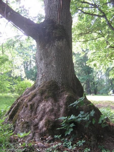 Vaboles-muiza-un-parks Vaboles muiža un parks