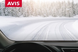 Lai ziemas piedzīvojumi neapstājas! ❄️ Avis