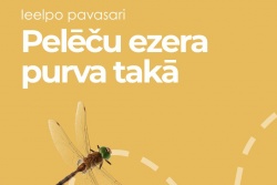 Ieelpo pavasari Pelēču ezera purva takā