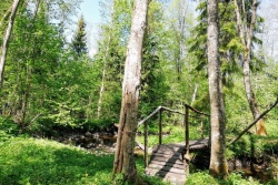 Akmeņupes dabas taka TAKA