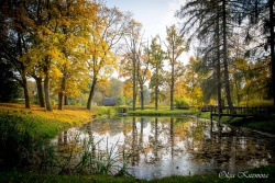 Jezupovas (Juzefovas) muižas parks Augšdaugavas novada Tūrisma nodaļa