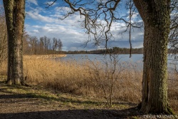 Medumu parks un taka Augšdaugavas novada Tūrisma nodaļa Medumu parks un taka Augšdaugavas novada Tūrisma nodaļa