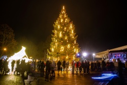 Ventspils egļu iedegšana