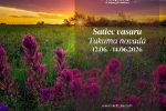 Satiec vasaru Tukuma novadā – ziedos, mūzikā un piedzīvojumos!