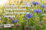 Zāļu tirdziņš Jelgavas Vecpilsētas ielas kvartālā