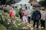 Peoniju svētki «Tūkstoš peoniju dārzā» vasaras melodijās ar Žoržu Siksnu