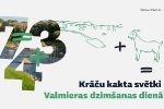 Krāču kakta svētki Valmieras dzimšanas dienā = krācīšu enerģija + kazas piedzīvojumu gars